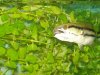DSC06862.jpg