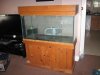 Zoo_Fish_Baby 086.jpg