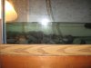 Zoo_Fish_Baby 088.jpg