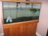 Zoo_Fish_Baby 090.jpg