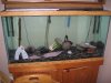 Zoo_Fish_Baby 091.jpg