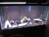 Zoo_Fish_Baby 098.jpg