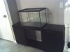 fishroom 020.jpg