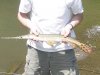 Gar.JPG
