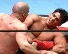 main-1.gif