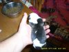 1 day old 002.jpg
