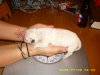1 day old 008.jpg