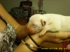 1 day old 012.jpg
