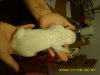 1 day old 021.jpg