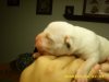 1 day old 020.jpg