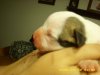 1 day old 024.jpg