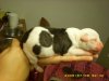 1 day old 028.jpg