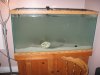 IMG 005.jpg