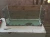 33 gallon repair 018.jpg