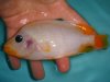 DSC00610.JPG