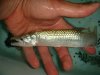 DSC00612.JPG