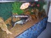 New375g1.jpg