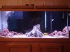 DSC01332.JPG