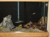DSC01334.JPG