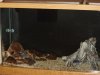 DSC01335.JPG