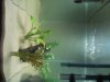 DSC08414.JPG