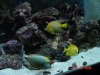 DSC09446.JPG
