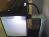 20 gallon marine 021.jpg