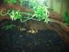 Picture or Video 055.jpg