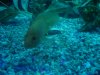 DSC00353.JPG