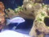 IMAGE_00344.JPG IMAGE_00344.JPG