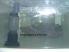DSC00725-x.jpg