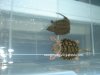 DSC00740-x.jpg