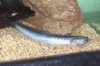 100_1711.JPG
