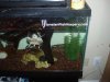 Picture 003.jpg