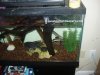 Picture 004.jpg