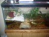 Picture 006.jpg