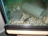 2005 pictures 031.jpg