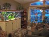 fish tank 125.jpg