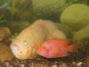 05fishpics 006.jpg