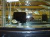 DSC08746.JPG
