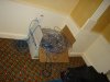 DSC08881.JPG