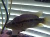 07-10-08_1032.jpg