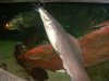Dscn11251.jpg