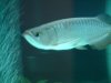 200807 338.jpg