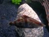 DSCN3371.JPG