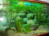 100_2206.JPG