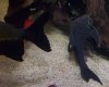 100_4122.JPG 100_4122.JPG