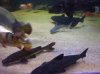 100_4132.JPG