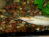 DSCN0572.JPG