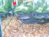 100_1617.JPG